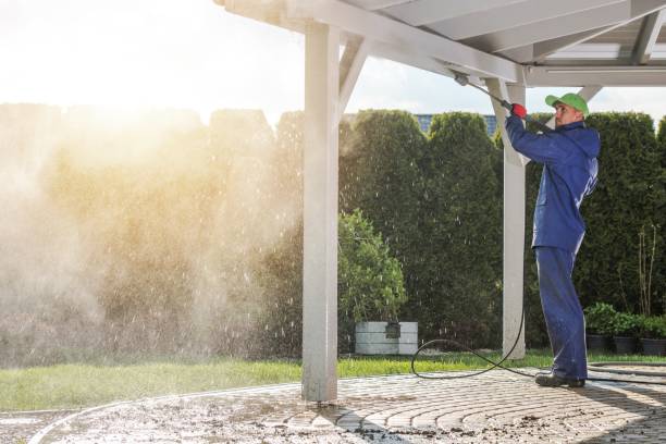 Pre-Holiday Cleaning in Arabi, LA